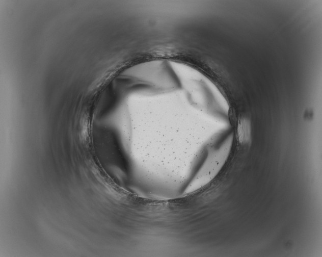 X0000112491444200909071210