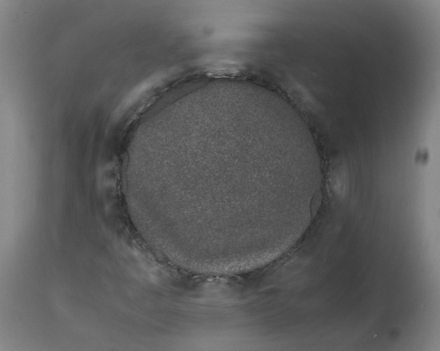 X0000112491445200909071210