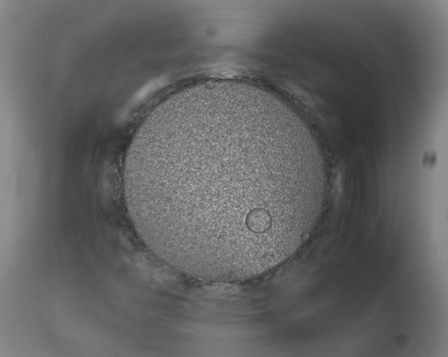 X0000112491446200909071210