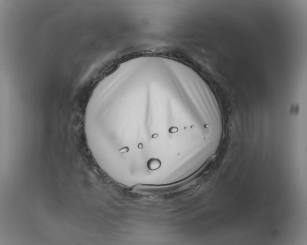 X0000112491447200909071210