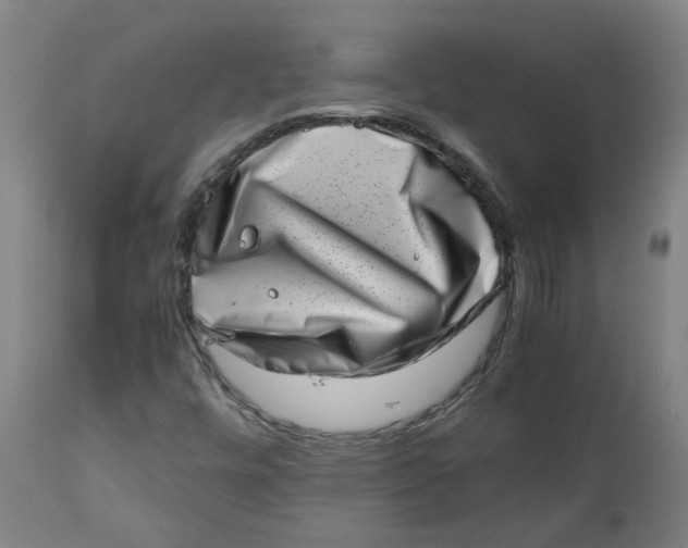 X0000112491448200909071210