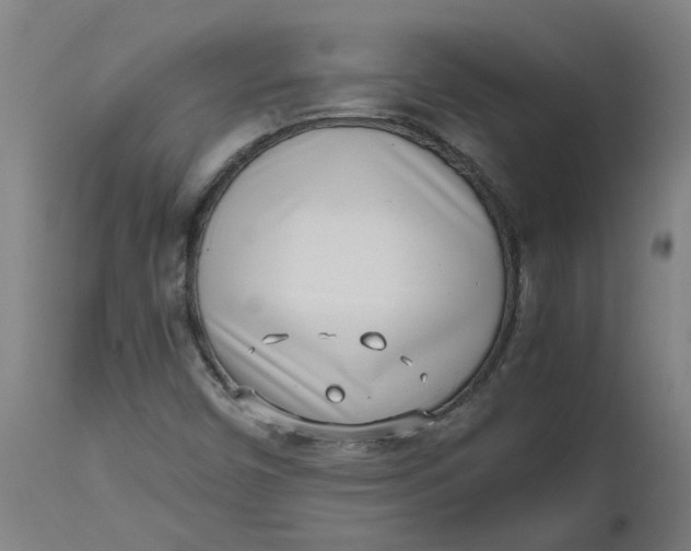 X0000112491450200909071210