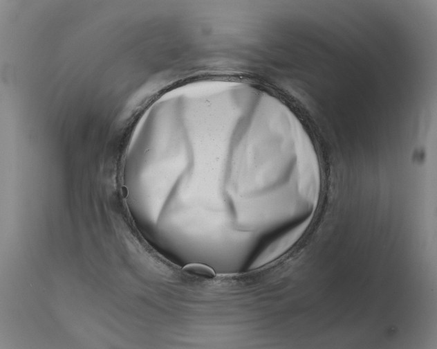 X0000112491451200909071210