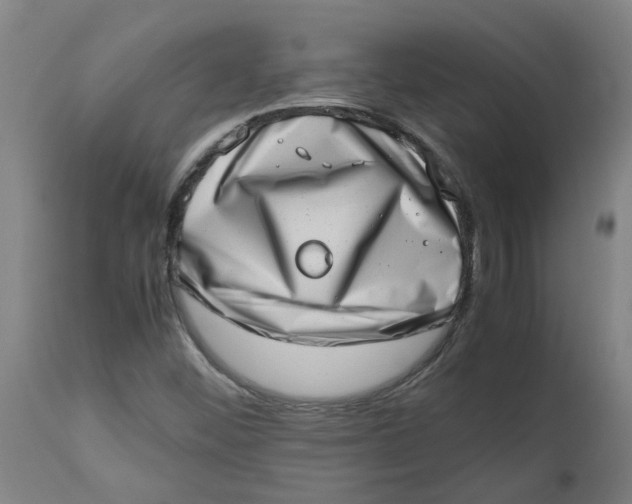 X0000112491452200909071210