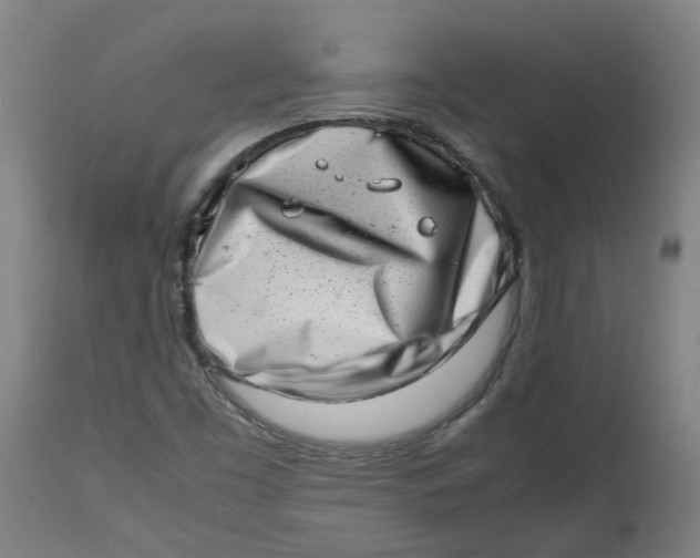 X0000112491453200909071210