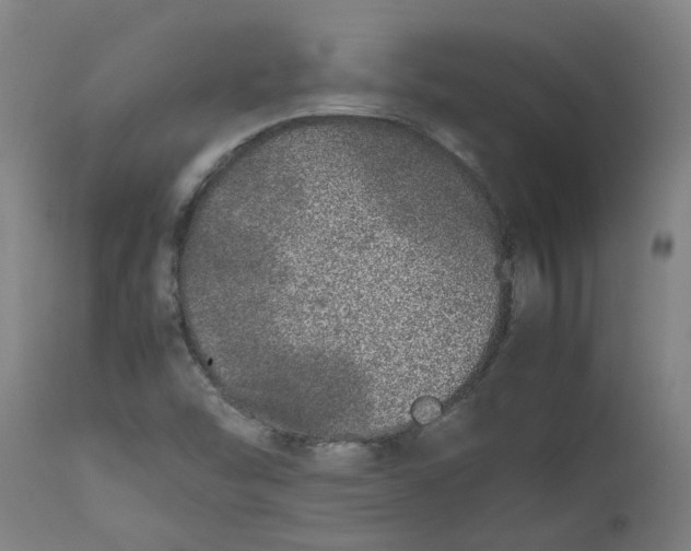 X0000112491454200909071210