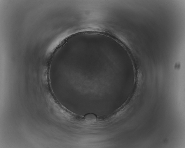 X0000112491455200909071210