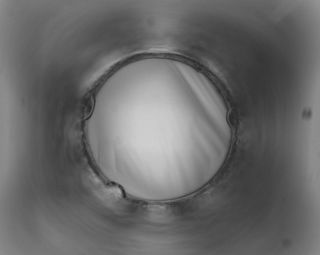 X0000112491456200909071210