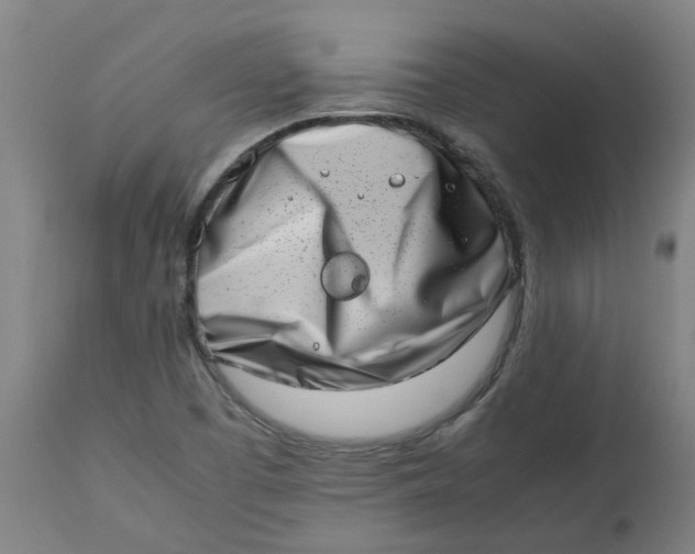 X0000112491457200909071210