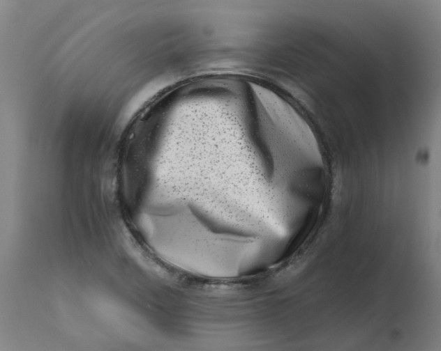 X0000112491458200909071210