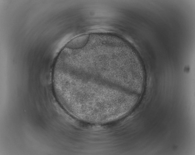 X0000112491459200909071210