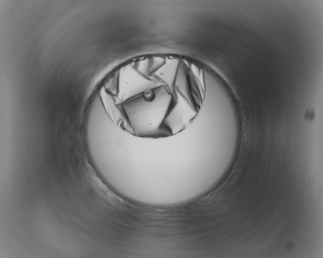 X0000112491460200909071210