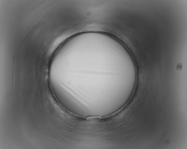 X0000112491461200909071210