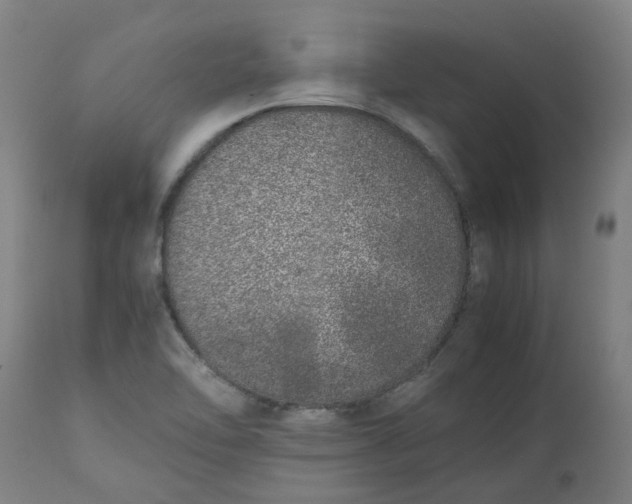 X0000112491462200909071210