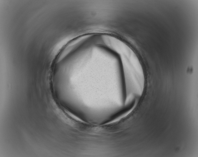 X0000112491463200909071210