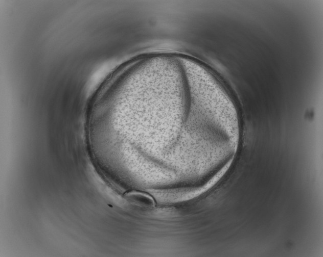 X0000112491464200909071210