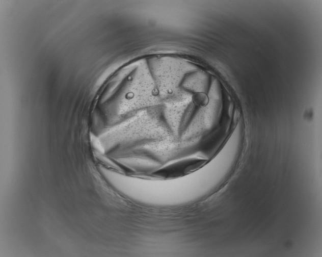 X0000112491465200909071210