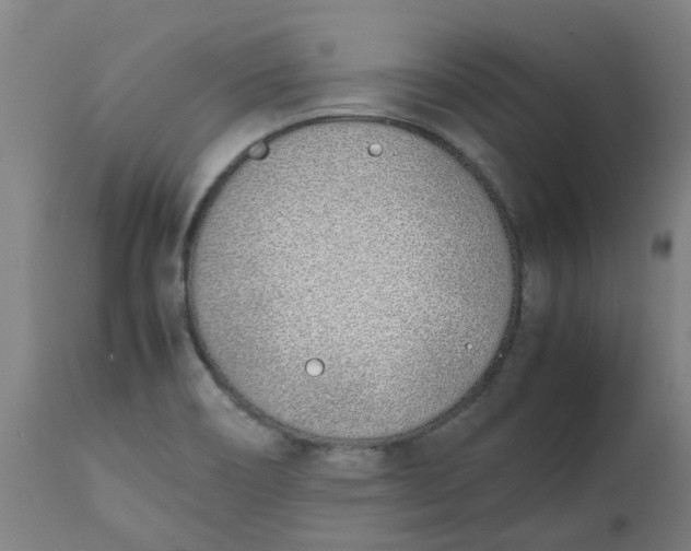 X0000112491466200909071210