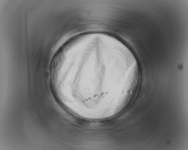 X0000112491467200909071210