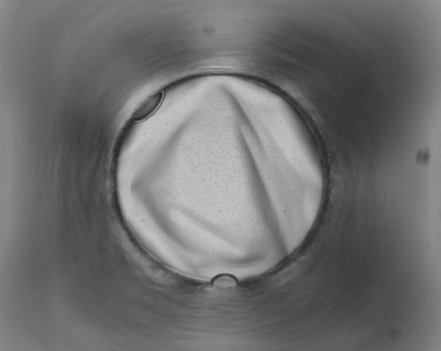 X0000112491469200909071210