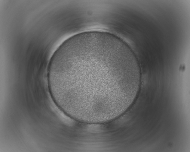 X0000112491470200909071210