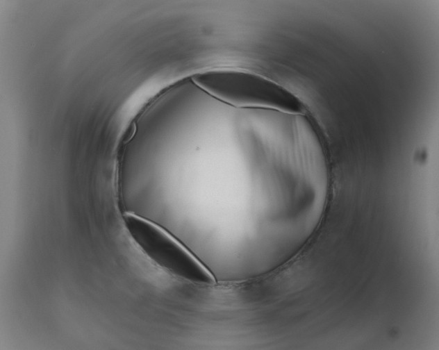 X0000112491472200909071210