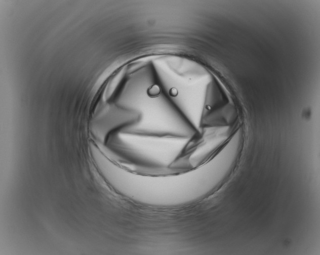 X0000112491473200909071210