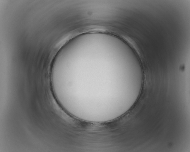 X0000112491475200909071210