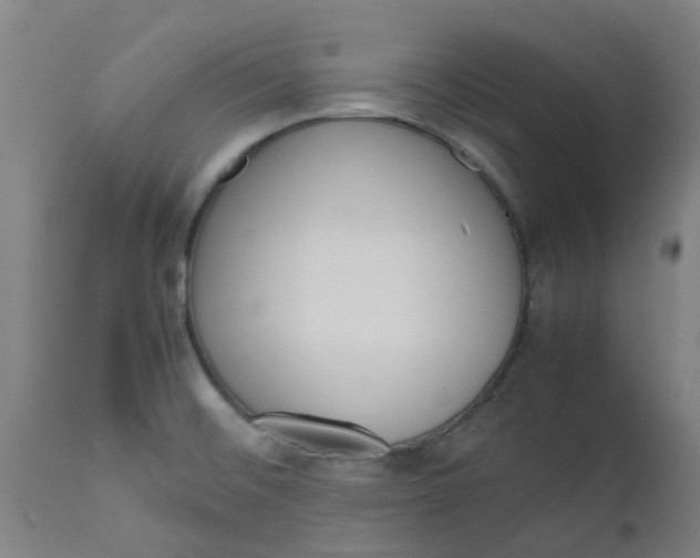 X0000112491476200909071209