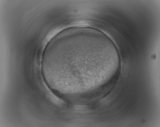 X0000112491477200909071209