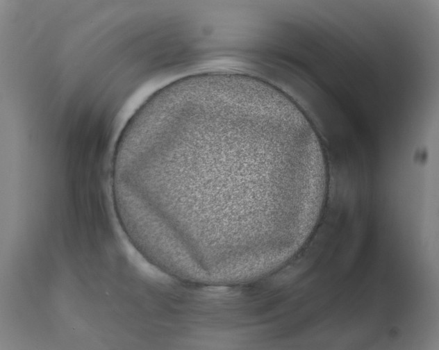 X0000112491478200909071209