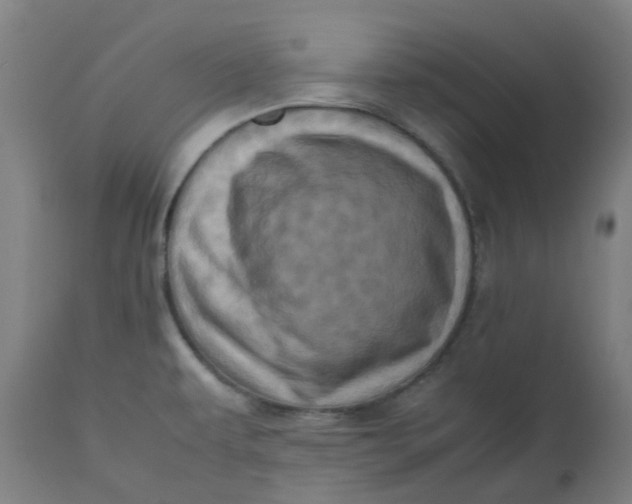 X0000112491479200909071209