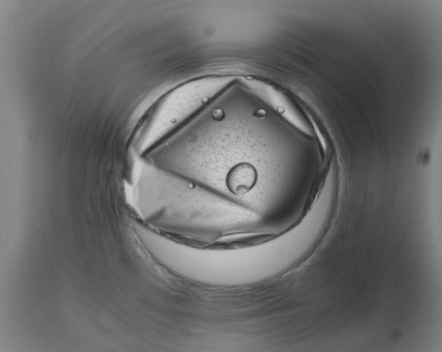 X0000112491481200909071209