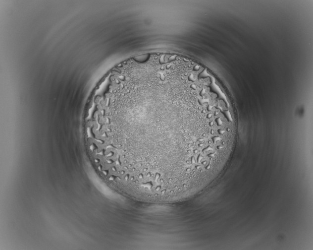 X0000112491482200909071209