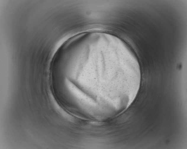 X0000112491483200909071209