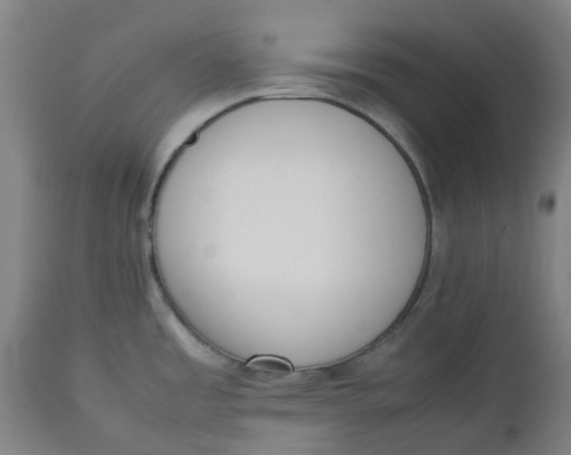 X0000112491485200909071209