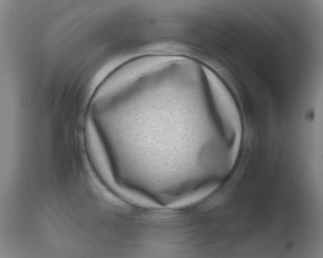 X0000112491486200909071209