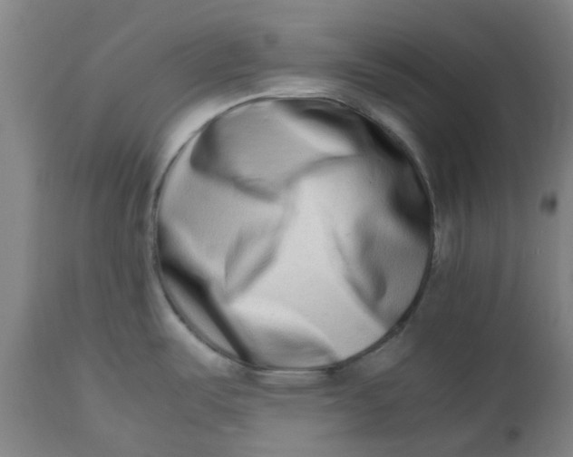 X0000112491487200909071209