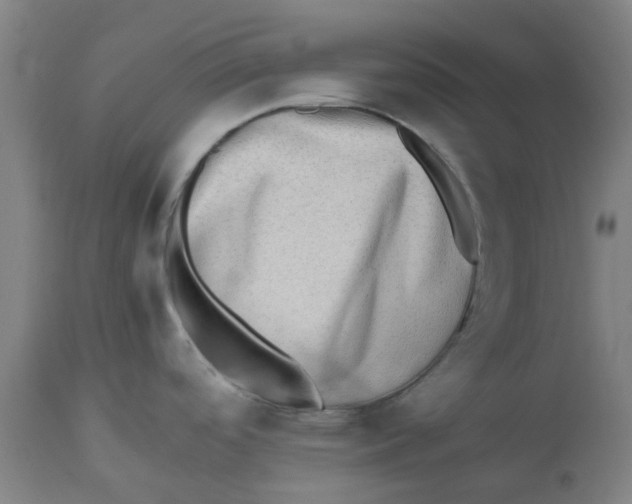 X0000112491488200909071209