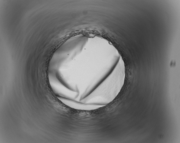 X0000112491489200909071208