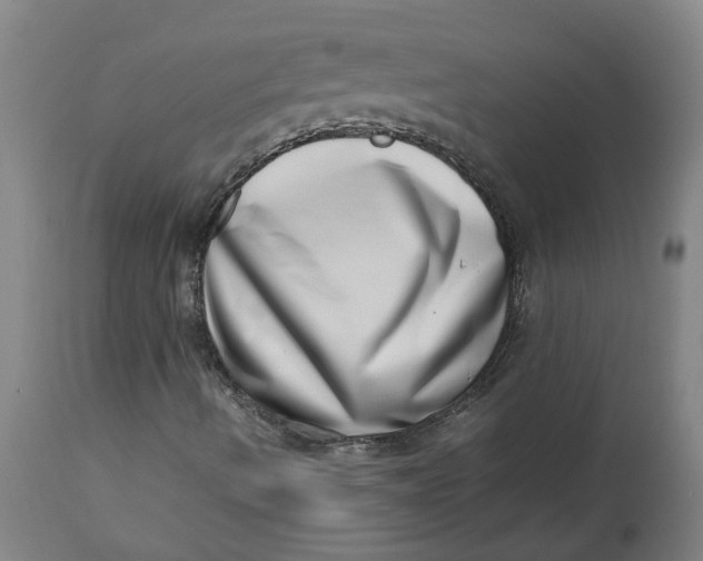 X0000112491490200909071209