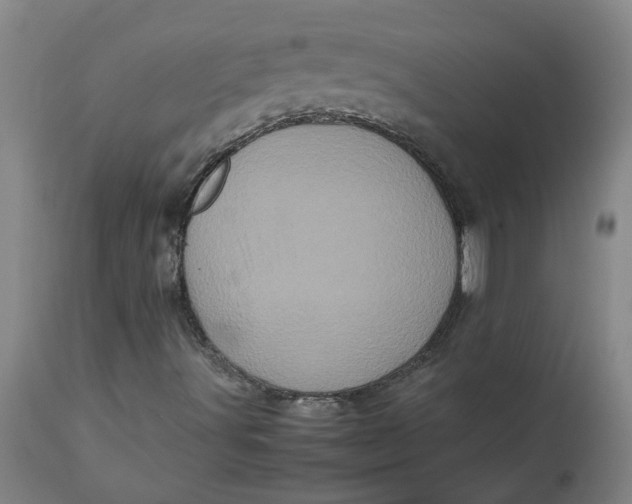 X0000112491491200909071209