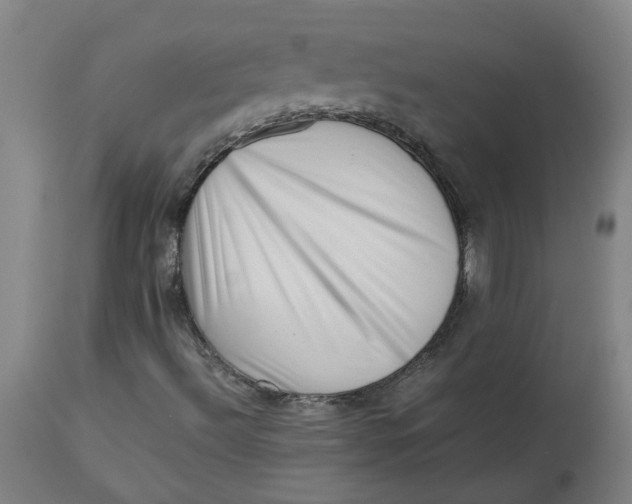 X0000112491492200909071209