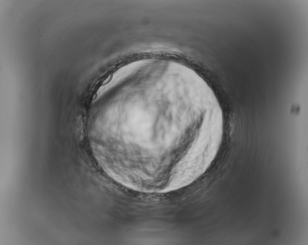 X0000112491493200909071209