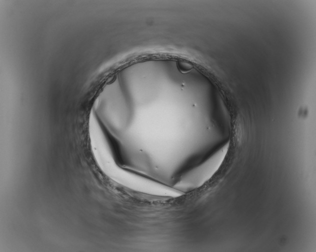 X0000112491494200909071209