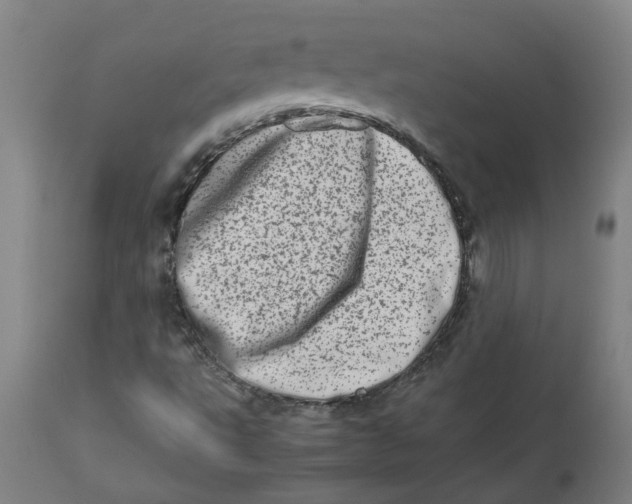 X0000112491495200909071209