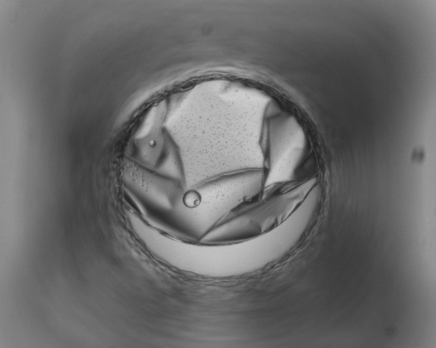 X0000112491496200909071209