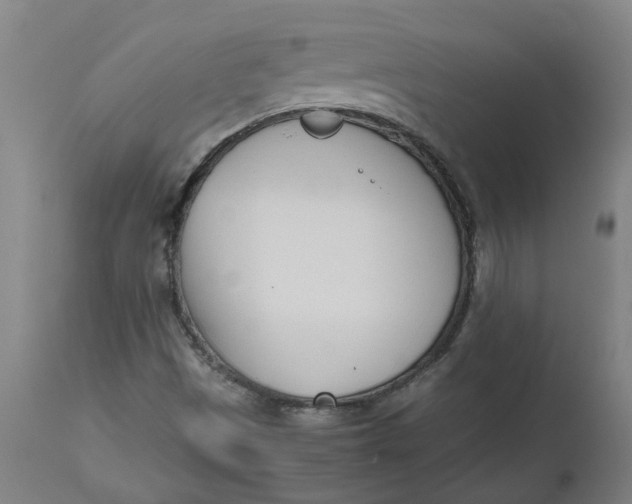 X0000112491497200909071209