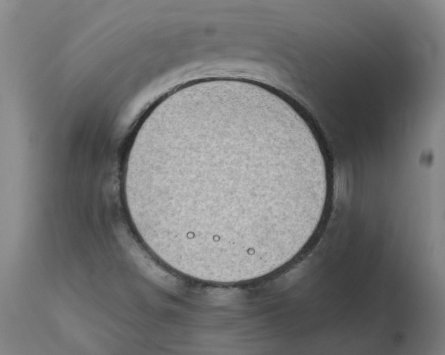 X0000112491498200909071209