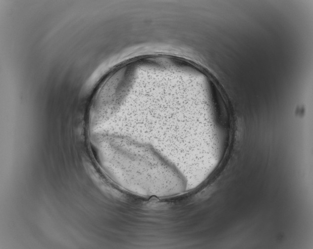 X0000112491499200909071209